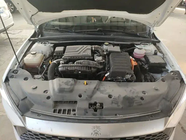 BYD Qin PLUS — Фото автомобиля 19