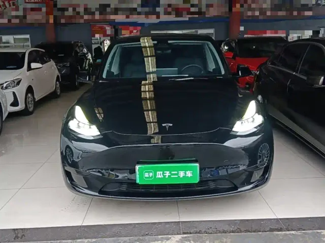 Tesla Model Y — Фото автомобиля 2
