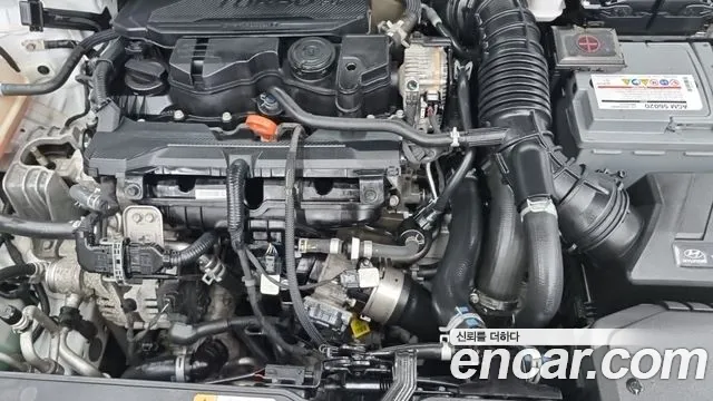 Hyundai Kona Kona (New) — Фото автомобиля 6