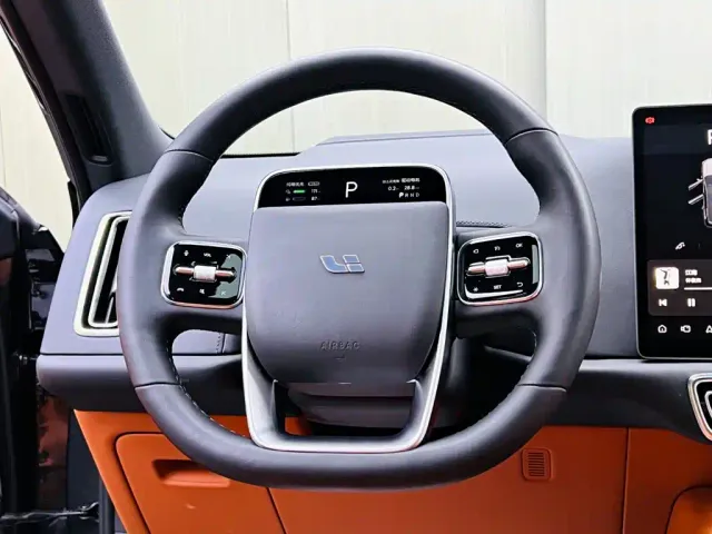 Li Auto L9 — Фото автомобиля 10