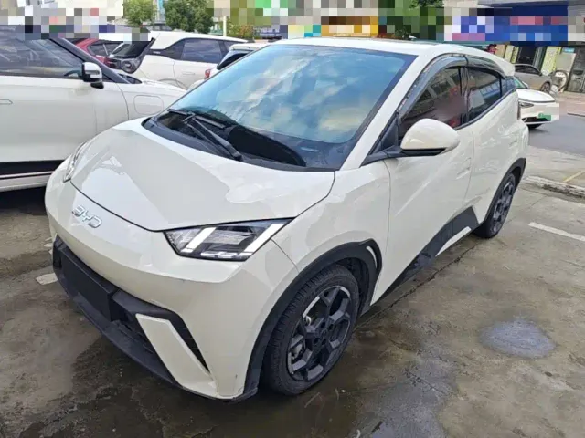 Фотография автомобиля — BYD Seagull