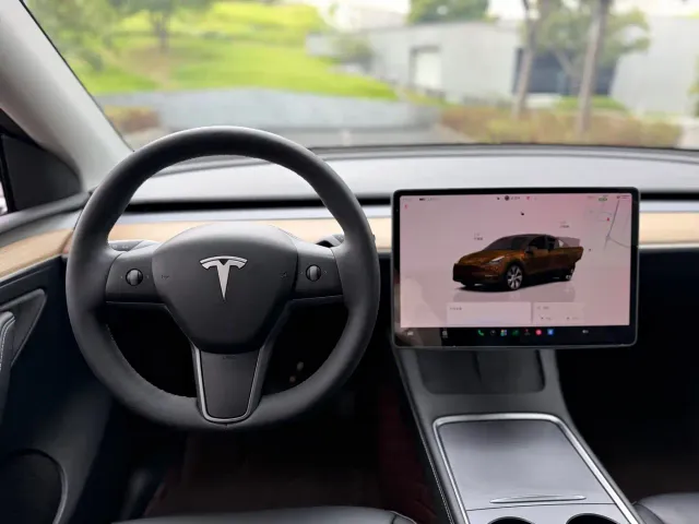 Tesla Model Y — Фото автомобиля 19