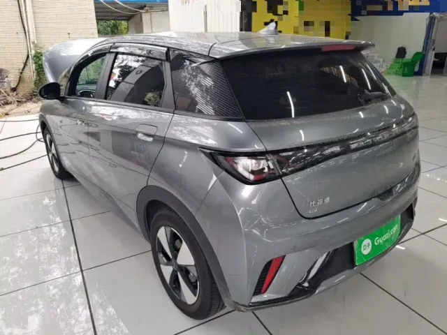 BYD Dolphin — Фото автомобиля 4