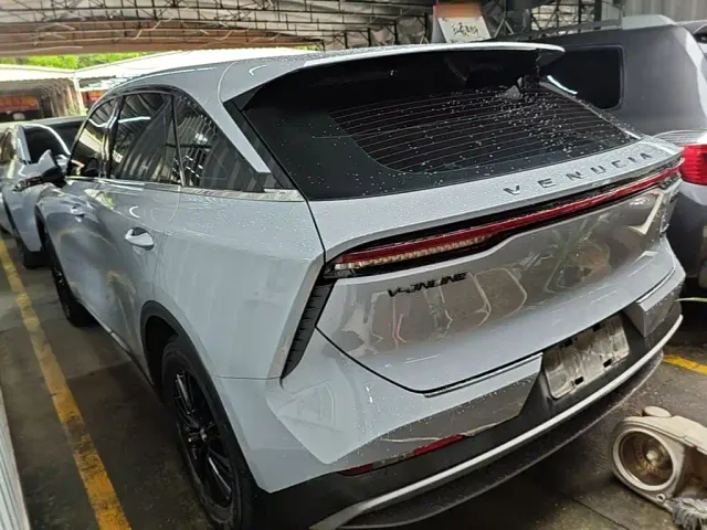 Venucia Venucia Big V 2021 260T Idol Edition — Фото автомобиля 22