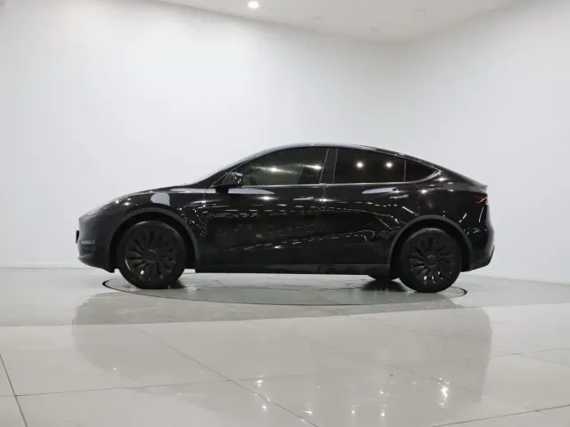 Tesla Model Y — Фото автомобиля 8