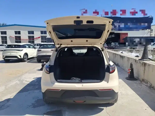 Geely Starry Wish — Фото автомобиля 18