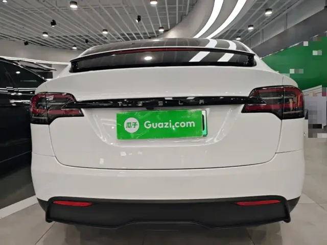 Tesla Model X — Фото автомобиля 5