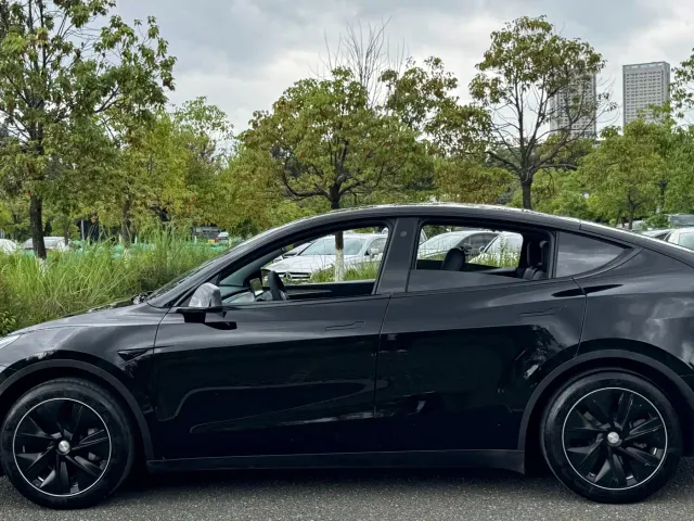 Tesla Model Y — Фото автомобиля 9