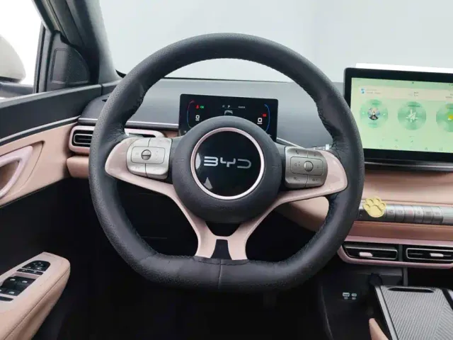 BYD Seagull — Фото автомобиля 15