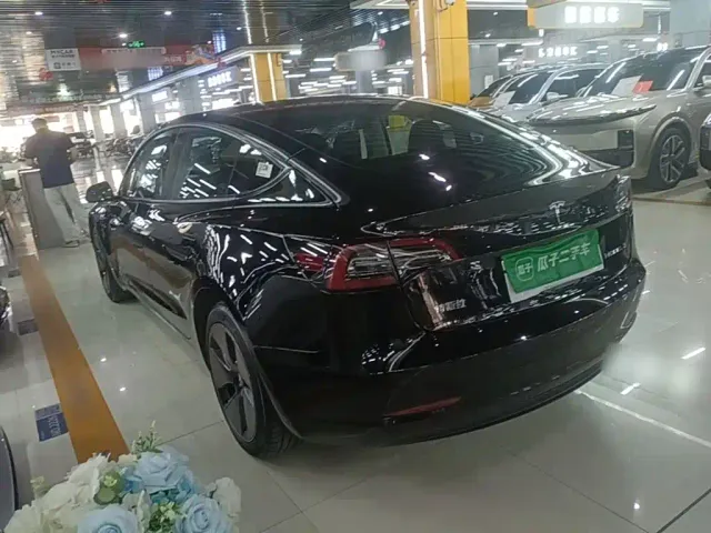 Tesla Model 3 — Фото автомобиля 4