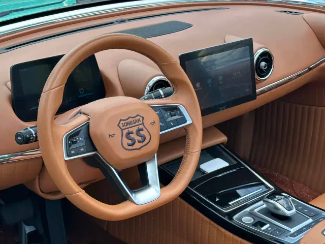 SONGSAN MOTORS SS DOLPHIN — Фото автомобиля 13