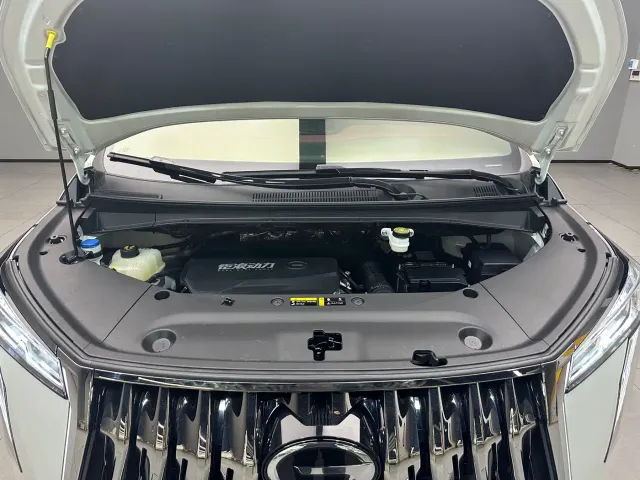 GAC Trumpchi M8 — Фото автомобиля 13