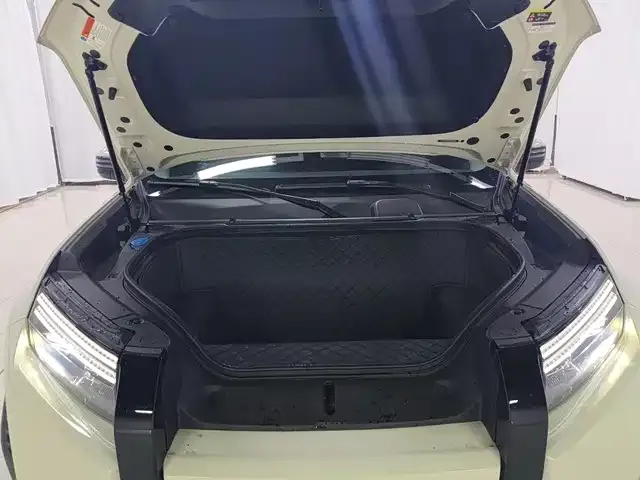 BYD FangChengBao Titanium 3 — Фото автомобиля 13