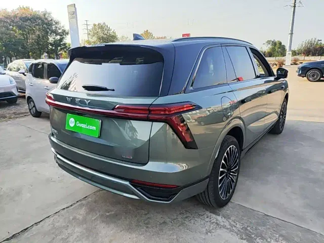 Wey Lanshan — Фото автомобиля 6