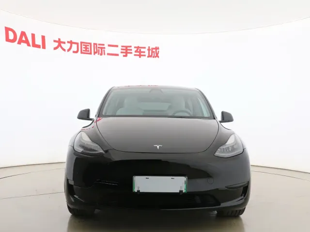 Tesla Model Y — Фото автомобиля 2