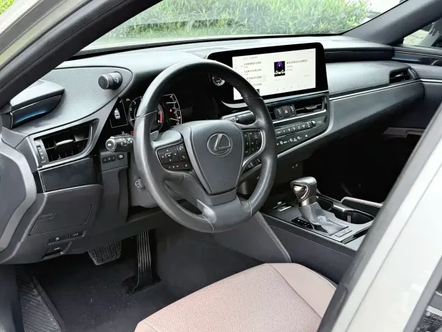 Lexus Lexus ES 2022 200 Excellence Edition — Фото автомобиля 14