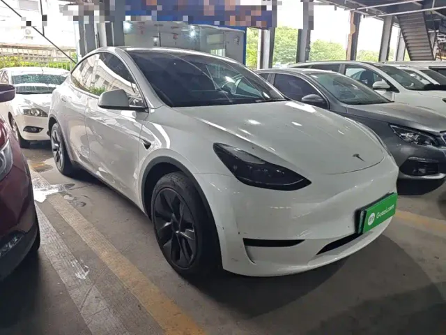 Tesla Model Y — Фото автомобиля 3