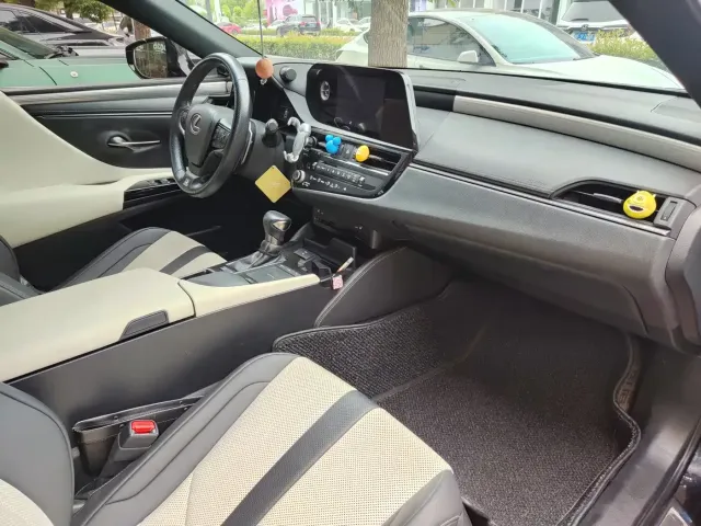 Lexus Lexus ES 2021 300h F SPORT — Фото автомобиля 13
