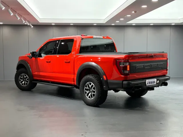 Ford F-150 Raptor — Фото автомобиля 6