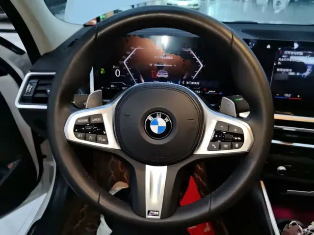 BMW 3 Series — Фото автомобиля 10
