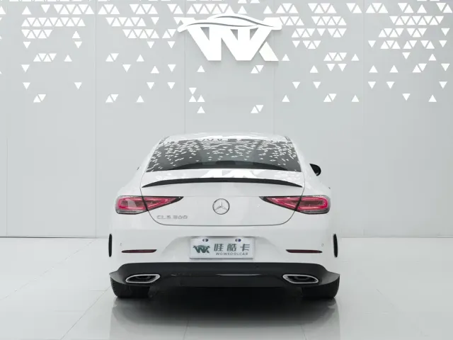 Mercedes-Benz CLS-Class — Фото автомобиля 5
