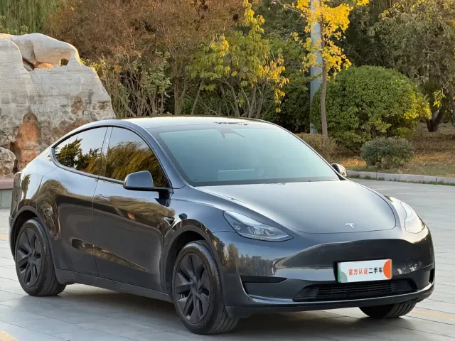 Tesla Model Y — Фото автомобиля 2