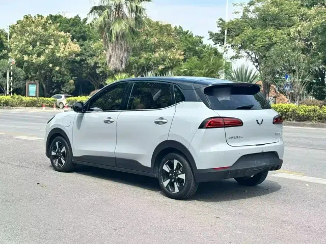 Wuling Binguo PLUS — Фото автомобиля 4