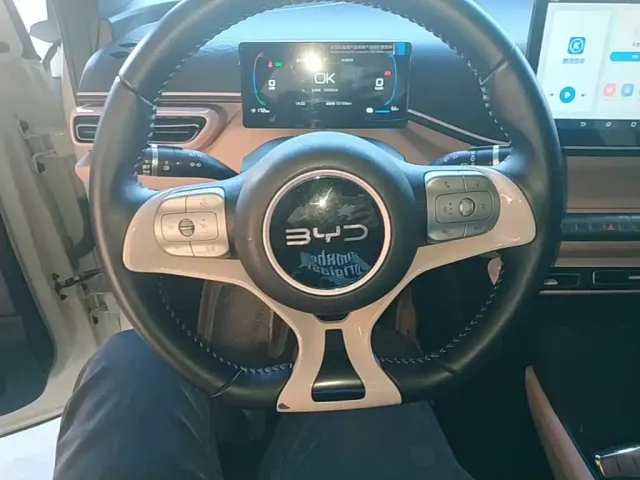 BYD Seagull — Фото автомобиля 10