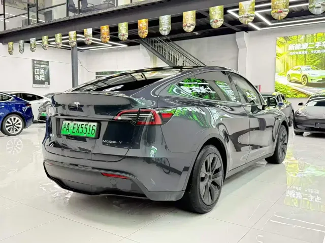 Tesla Model Y — Фото автомобиля 10