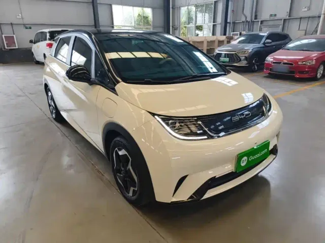 BYD Dolphin — Фото автомобиля 3