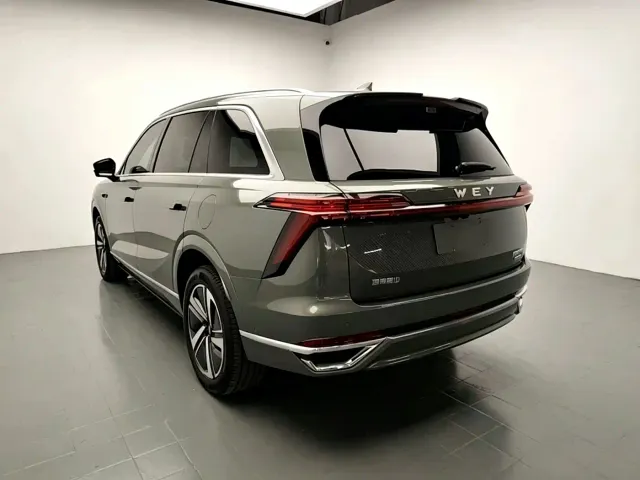 Wey Lanshan — Фото автомобиля 5