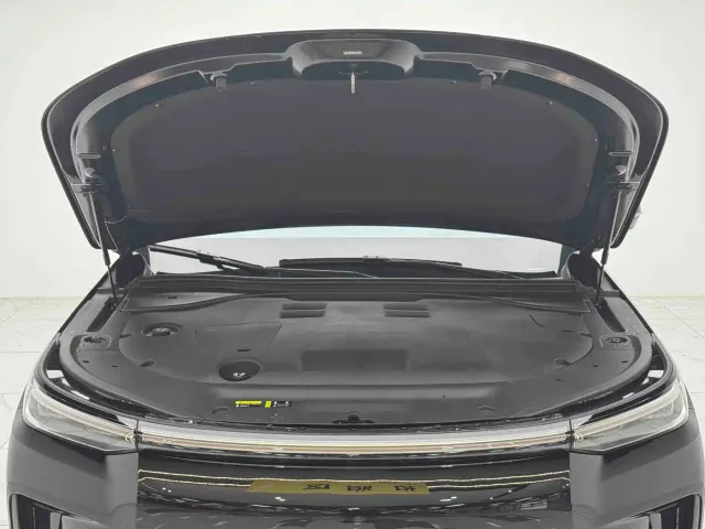 GAC Trumpchi Xiangwang S9 — Фото автомобиля 11