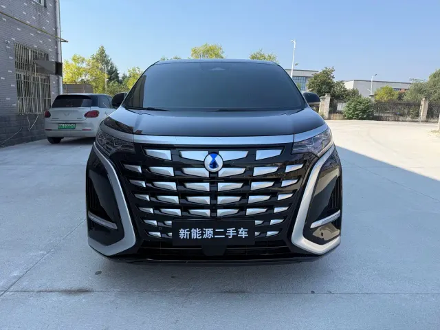 Denza D9 — Фото автомобиля 3
