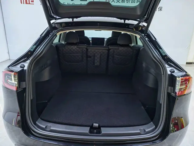Tesla Model Y — Фото автомобиля 20