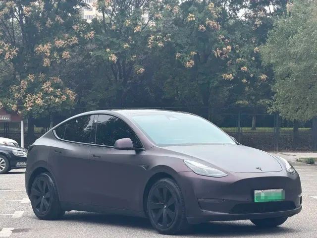 Tesla Model Y — Фото автомобиля 3
