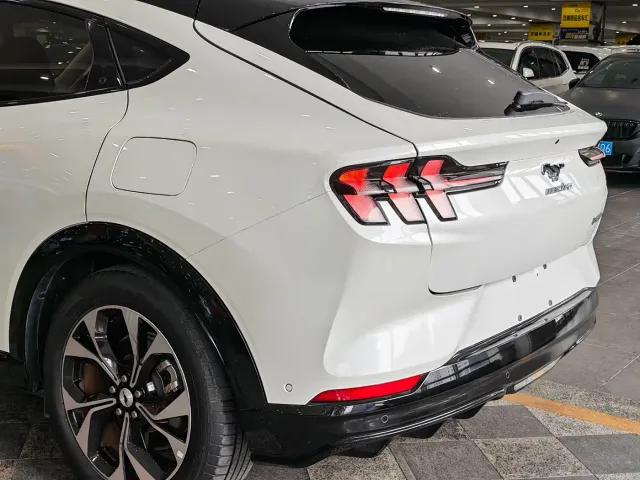 Ford Mustang Mach-E — Фото автомобиля 15
