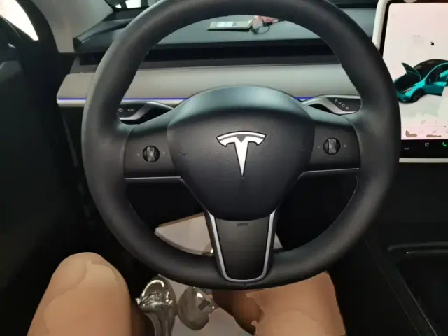 Tesla Model Y — Фото автомобиля 10