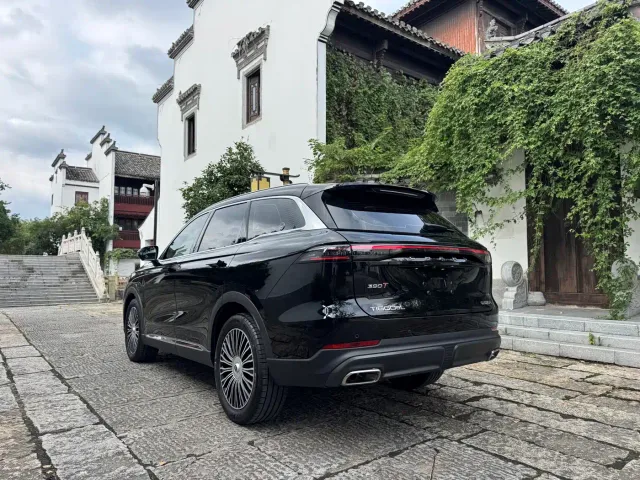 Chery Tiggo 8L — Фото автомобиля 4