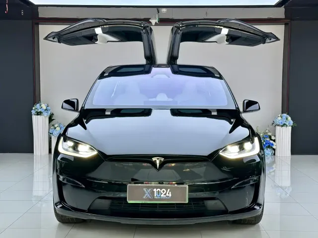 Tesla Model X — Фото автомобиля 2