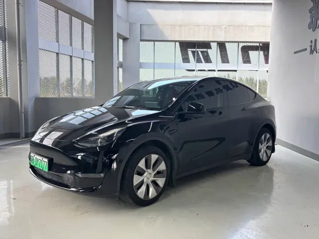 Tesla Model Y — Фото автомобиля 2