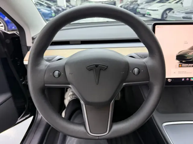 Tesla Model 3 — Фото автомобиля 12