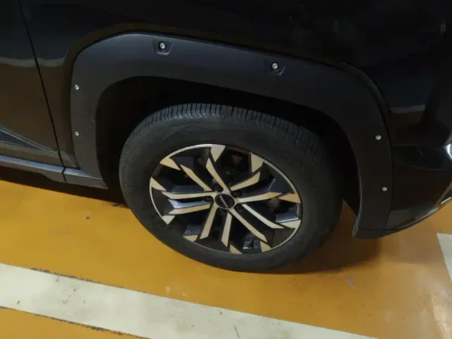 Haval Big Dog — Фото автомобиля 6