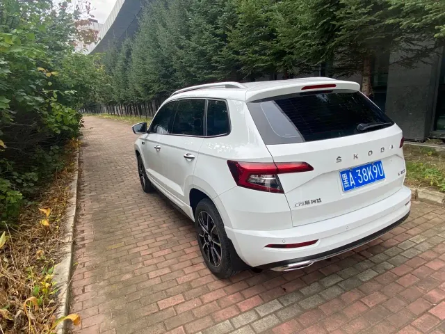 Skoda Karoq — Фото автомобиля 4