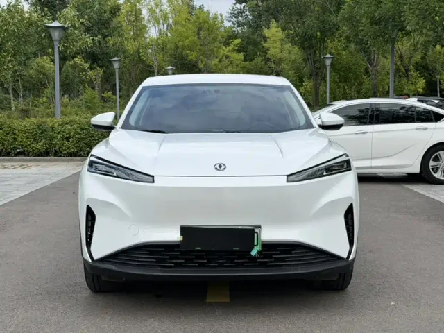 Dongfeng SKY EV01 — Фото автомобиля 24