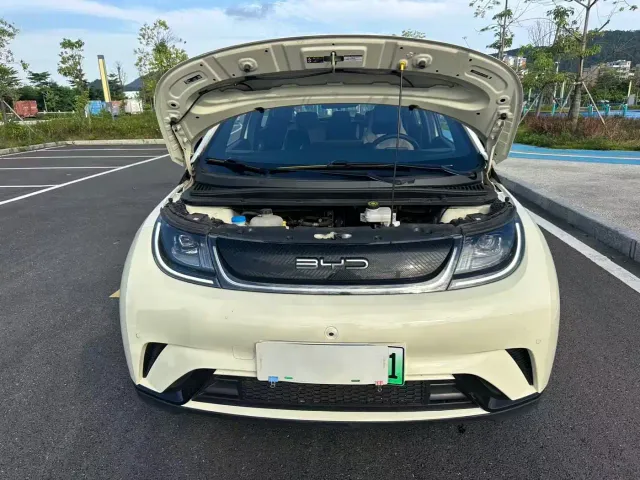BYD Dolphin — Фото автомобиля 18