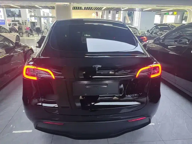 Tesla Model Y — Фото автомобиля 3
