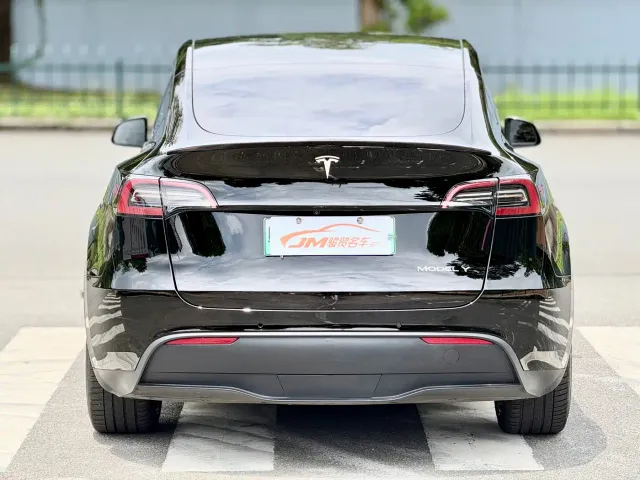 Tesla Model Y — Фото автомобиля 5