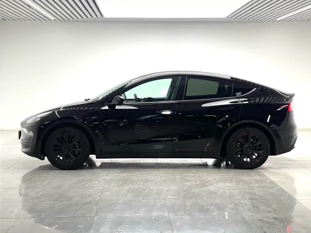 Tesla Model Y — Фото автомобиля 7