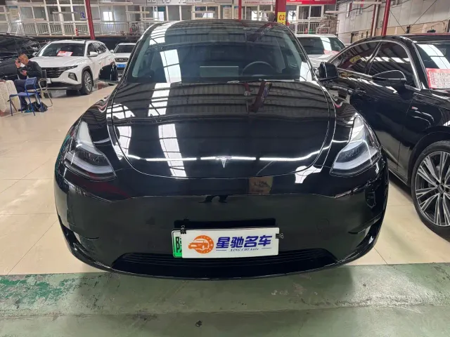 Tesla Model Y — Фото автомобиля 2