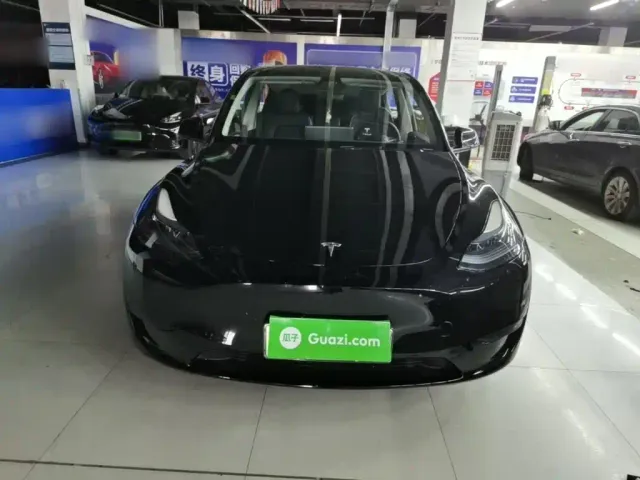 Tesla Model Y — Фото автомобиля 2